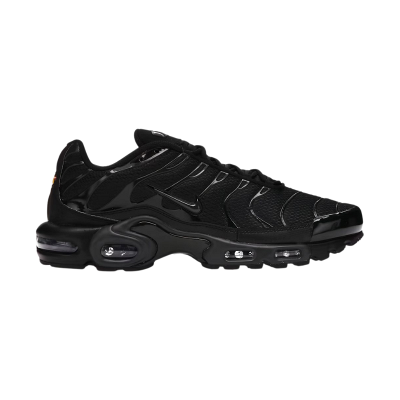 Nike Air max plus triple black